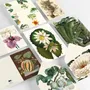 Papeterie bureau - Sets de Correspondence - PEPIN PRESS B.V.