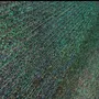 Fabrics - Quezhi - FUYU YUNJIN ART INT (HK) LTD