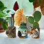 Gifts - Quail Mini Pot - QUAIL DESIGNS EUROPE BV