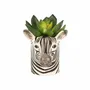 Gifts - Quail Mini Pot - QUAIL DESIGNS EUROPE BV