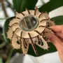 Vases - Baby Urchin - Plant pot - LA COUR DU JUCH