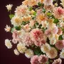 Décorations florales - Dahlias en soie pastel - SILK-KA BV