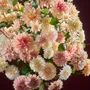 Décorations florales - Dahlias en soie pastel - SILK-KA BV
