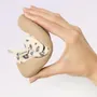 Kids slippers and shoes - CHARLIE - KITCHOUN