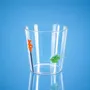 Carafes - Monterey Glass and Carafes Collection - WD LIFESTYLE