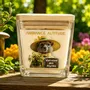 Gifts - VERVEINE DES ALPILLES Scented Natural Candle - AMBIANCE ALTITUDE