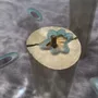 Coffee tables - Glass coffee table - MANON COUSIN