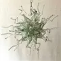 Ceiling lights - Falak light fixture - LA MAISON DAR DAR