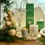 Gifts - Christmas scents collection - TERRE D'OC