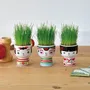 Objets déco enfant - Kokeshi Green - NOTED