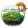 Objets déco enfant - Water Garden with Cat - NOTED