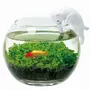 Objets déco enfant - Water Garden with Cat - NOTED