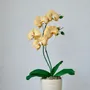 Petite maroquinerie - Orchidée phalaenopsis en cuir - SISHICRAFT STUDIO