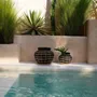 Vases - Le Vase Belly - Noir Naturel - S - BAZAR BIZAR LIVING