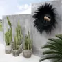Mirrors - The Sunken Forest Mirror - Black - BAZAR BIZAR LIVING