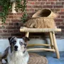 Stools - The Porto Seagrass Stool - Natural - M - BAZAR BIZAR LIVING