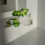 Vases - The Trendy Vase - Concrete - L - BAZAR BIZAR LIVING