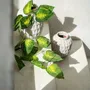 Vases - Le Trendy Vase - Béton - M - BAZAR BIZAR LIVING