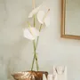 Sculptures, statuettes et miniatures - La Statue De Sumba #17 - BAZAR BIZAR LIVING