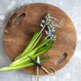 Plateaux - Le Teak Root Plateau - Naturel - L - BAZAR BIZAR LIVING
