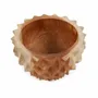 Bols - Le Bol Teak Root Durian - S - BAZAR BIZAR LIVING
