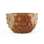 Bols - Le Bol Teak Root Durian - S - BAZAR BIZAR LIVING
