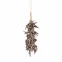 Objets de décoration - Le Pompon Coquillage Licorne - Marron - BAZAR BIZAR LIVING