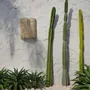 Appliques - L’Applique Murale SiriKit - Naturelle - BAZAR BIZAR LIVING