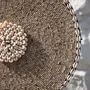 Sculptures, statuettes et miniatures - La Coquille Guadeloupe sur Support - Blanc Naturel - BAZAR BIZAR LIVING