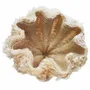 Abat-jours - La Suspension Rami - Naturel - XL - BAZAR BIZAR LIVING