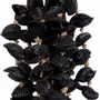 Decorative objects - The Midnight Shell Tassel - Black - BAZAR BIZAR LIVING