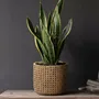 Flower pots - The RattanRock Planter - Natural - L - BAZAR BIZAR LIVING