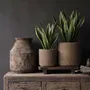 Flower pots - The RattanRock Planter - Natural - L - BAZAR BIZAR LIVING