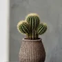 Pots de fleurs - Le Cache-Pot Faux-Puff - Marron - M - BAZAR BIZAR LIVING