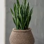 Pots de fleurs - Le Cache-Pot Faux-Puff - Marron - L - BAZAR BIZAR LIVING