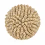Objets de décoration - La Oluolu Shell Balle - L - BAZAR BIZAR LIVING