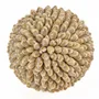 Objets de décoration - La Oluolu Shell Balle - L - BAZAR BIZAR LIVING