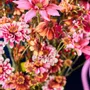 Décorations florales - Bouquet d'automne coloré - SILK-KA BV