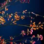 Floral decoration - Silk berry mix - SILK-KA BV