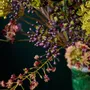 Décorations florales - Bouquet de fleurs d'automne robuste - SILK-KA BV