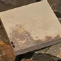 Autres décorations murales - Les MUSH Bio-Lithic™ Surfaces - MUSH COMPOSITES