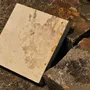 Autres décorations murales - Les MUSH Bio-Lithic™ Surfaces - MUSH COMPOSITES