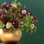 Vases - Cache-Pot Boule - LOU DE CASTELLANE