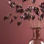 Décorations florales - Physalis Franchet - LOU DE CASTELLANE