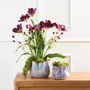 Décorations florales - Tulipe Elegance - LOU DE CASTELLANE