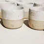 Bougies - kit de demarrage bougie rechargeable | Wild Coast (Épicéa + Eucalyptus + Genièvre + Menthe poivrée) - OCTŌ