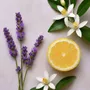 Bougies - Serene (Lavande + Bergamote + Néroli) | Bougie pot ambré - OCTŌ