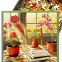 Cadeaux - Puzzles 500 pièces - VISSEVASSE