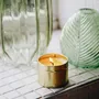 Candles - Golden Metal Box Candle | Different scents 100 ml |Cedar + Juniper - OCTŌ