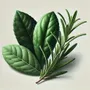 Bougies - Laurier + Romarin | Bougie pot ambré |250ml - OCTŌ